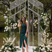 ���������� �����-���������, ���� ������� �������, 25 ���, ������������ ��� ������, ����� � ���������, c�������� ���������, ���������