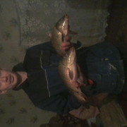 ���������� ������, ���� ������� � ������ ���, 33 ����, ������������ ��� ������