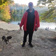  ,   , 43 ,   ,   