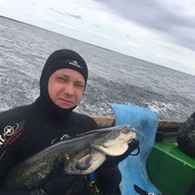 ���������� ��������, ���� ������� �������, 48 ���, ������������ ��� ������