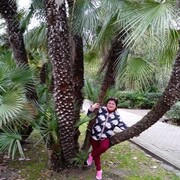  ,   , 61 ,   ,   
