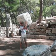 ���������� �����-���������, ���� ������� ����, 36 ���, ������������ ��� ������, ����� � ���������, c�������� ���������