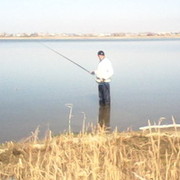 ���������� ���������, ���� ������� ������, 36 ���, ������������ ��� ������, ����� � ���������, c�������� ���������