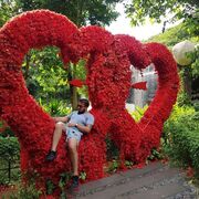 ���������� ������, ���� ������� Andrew, 33 ����, ������������ ��� ������, ����� � ���������