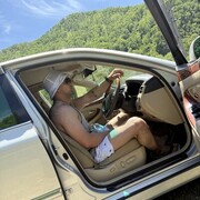 ���������� �����������, ���� ������� �����, 31 ���, ������������ ��� ������, ����� � ���������, c�������� ���������, ���������