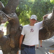  ,   , 31 ,   