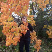 ���������� ���������, ���� ������� �����, 59 ���, ������������ ��� ����� � ���������, c�������� ���������