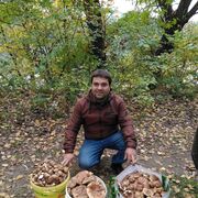 ���������� �������, ���� ������� Victor, 41 ���, ������������ ��� ������, ����� � ���������