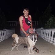  ,  , 41