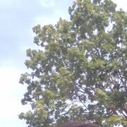  ,   , 31 ,   ,   , c , 