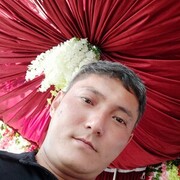 ���������� �������, ���� ������� Baha, 40 ���, ������������ ��� ������, ����� � ���������, c�������� ���������