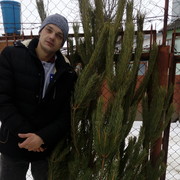 ���������� ����, ���� ������� Paha, 39 ���, ������������ ��� ������, ����� � ���������, c�������� ���������