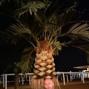  ,   , 42 ,   ,   