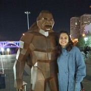 ���������� ������, ���� ������� ����, 34 ����, ������������ ��� ������, ����� � ���������, c�������� ���������