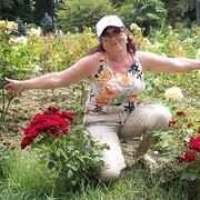  ,   , 62 ,   c 