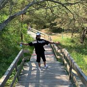 ���������� ��������, ���� ������� ������, 36 ���, ������������ ��� ���������