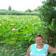 ���������� ������-��-����, ���� ������� �������, 48 ���, ������������ ��� ����� � ���������, c�������� ���������