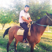  ,   Aliy, 35 ,   ,   , c 