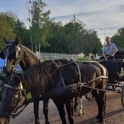 ���������� ������, ���� ������� ������, 51 ���, ������������ ��� ������, ����� � ���������