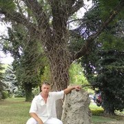  ,   , 49 ,     , c 