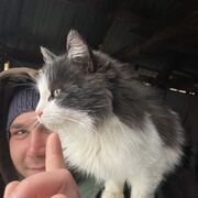  ,   , 26 ,     , c 