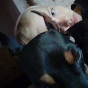 ���������� ���������, ������ ����, 23