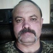  ,   Pups, 52 ,   