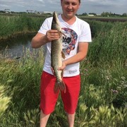 ���������� ����, ���� ������� ��������, 38 ���, ������������ ��� ������, ����� � ���������, c�������� ���������