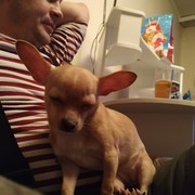 ���������� ������, ���� ������� ����, 42 ����, ������������ ��� ������, ���������