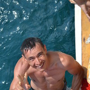  ,   , 37 ,   
