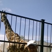 ���������� �����������, ���� ������� �����, 45 ���, ������������ ��� ����� � ���������, c�������� ���������