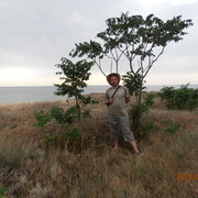  ,   , 52 ,   