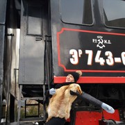  Moscow,   , 56 ,   ,   , c 