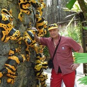  ,   , 62 ,   ,   , 
