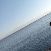  ,   SAMO, 24 ,   ,   