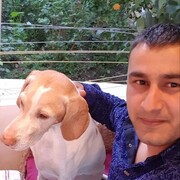 ���������� �����, ���� ������� ���, 36 ���, ������������ ��� ������, ����� � ���������, c�������� ���������, ���������