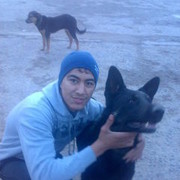 ���������� ������, ���� ������� �����, 34 ����, ������������ ��� ������, ����� � ���������, c�������� ���������, ���������