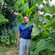 ���������� ��������, ���� ������� �����, 43 ����, ������������ ��� ������, ����� � ���������, c�������� ���������