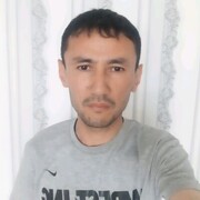  ,   SYRYM, 43 ,   