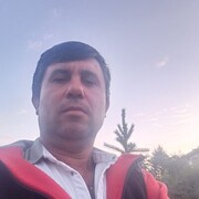  ,   , 49 ,   ,   