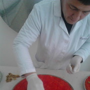 ���������� ����, ���� ������� Shahin, 38 ���, ������������ ��� ����� � ���������, c�������� ���������