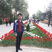 ���������� ������ ��������, ���� ������� ����, 27 ���, ������������ ��� ������, ����� � ���������