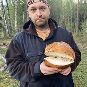 ���������� �����-���������, ���� ������� Sheridan fox, 40 ���, ������������ ��� ������, ����� � ���������