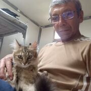  ,   , 57 ,     