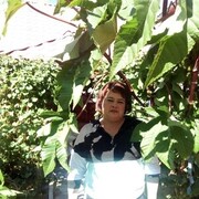  ,   , 52 ,   ,   , c 