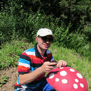  ,   Sergo, 48 ,   