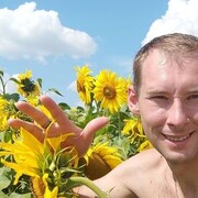   ,   , 37 ,   ,   , c 