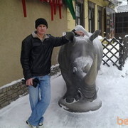 ���������� ������, ���� ������� �������, 36 ���, ������������ ��� ������, ����� � ���������, c�������� ���������