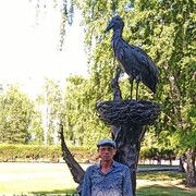 ���������� �������, ���� ������� ����, 51 ���, ������������ ��� ������, ����� � ���������, c�������� ���������