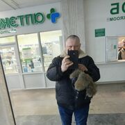 ���������� �����, ���� ������� ������� ����, 48 ���, ������������ ��� c�������� ���������